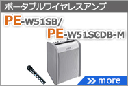 PE-W51SB-M/PE-W51SCDB-M用ワイヤレスアンプ